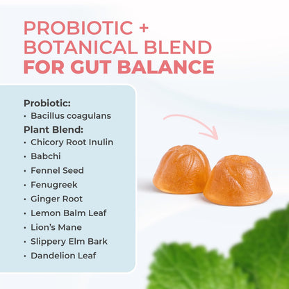 Nature’s NutriWave PrimeBiome Probiotic Gummies – Plant-Based Blend with Inulin, Lion’s Mane, Ginger & More– Non-GMO, No Stimulants, GMP Certified – 30 Gummies, 3 Month Supply - Maple Wellness Supplements