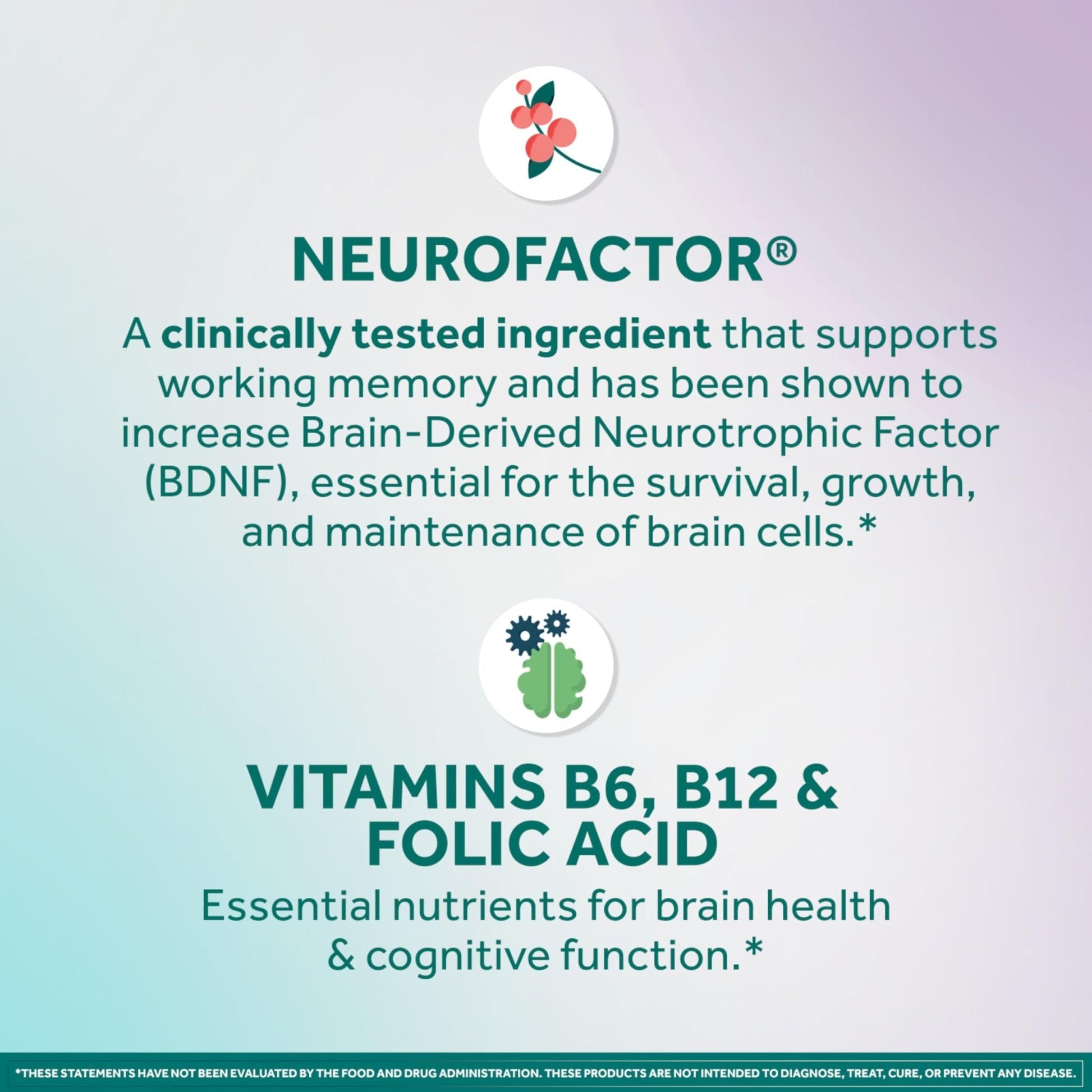 NEURIVA Memory 3D Brain Supplement - Decaffeinated Nootropic Capsules for Memory, Focus, & Cognitive Function - Short Term, Long Term, & Working Memory Support - 50ct - Maple Wellness Supplements
