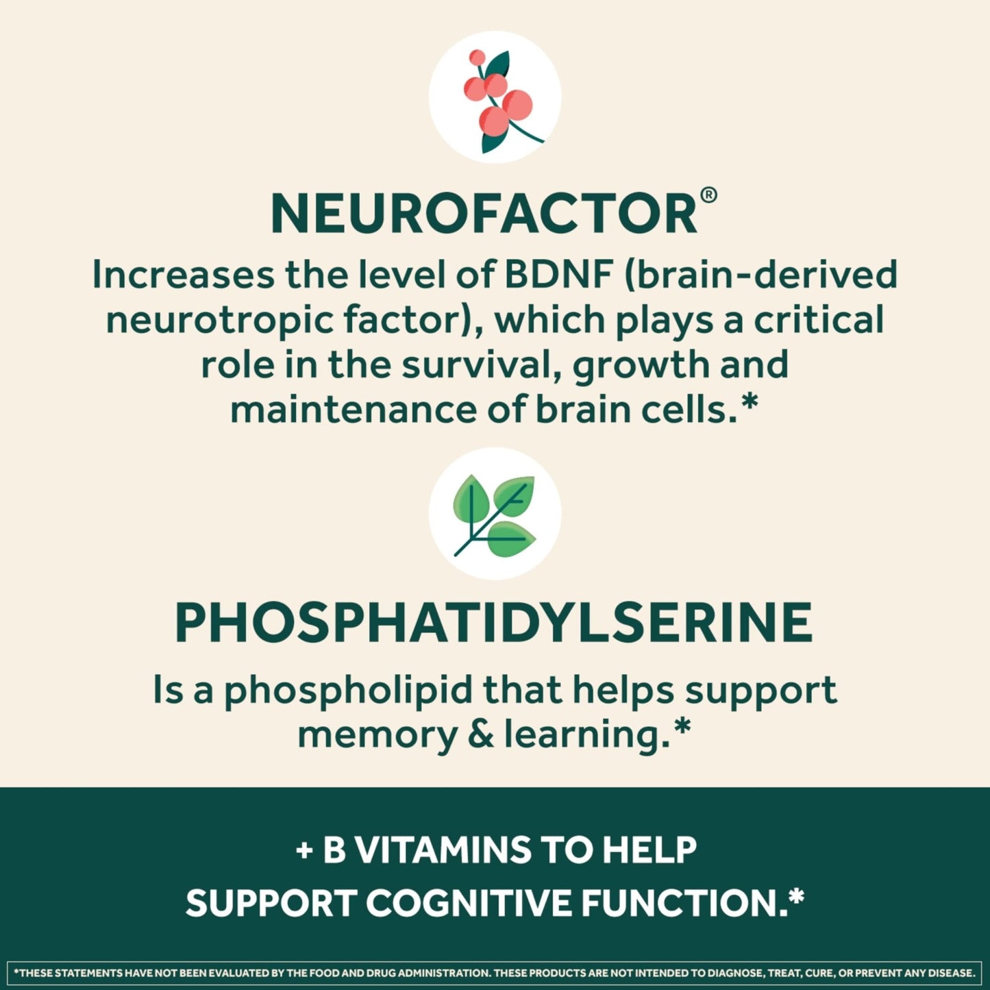 NEURIVA Plus Brain Supplement for Memory and Focus Clinically Tested Nootropics for Concentration for Mental Clarity, Cognitive Enhancement Vitamins B6, B12 - Maple Wellness Supplements
