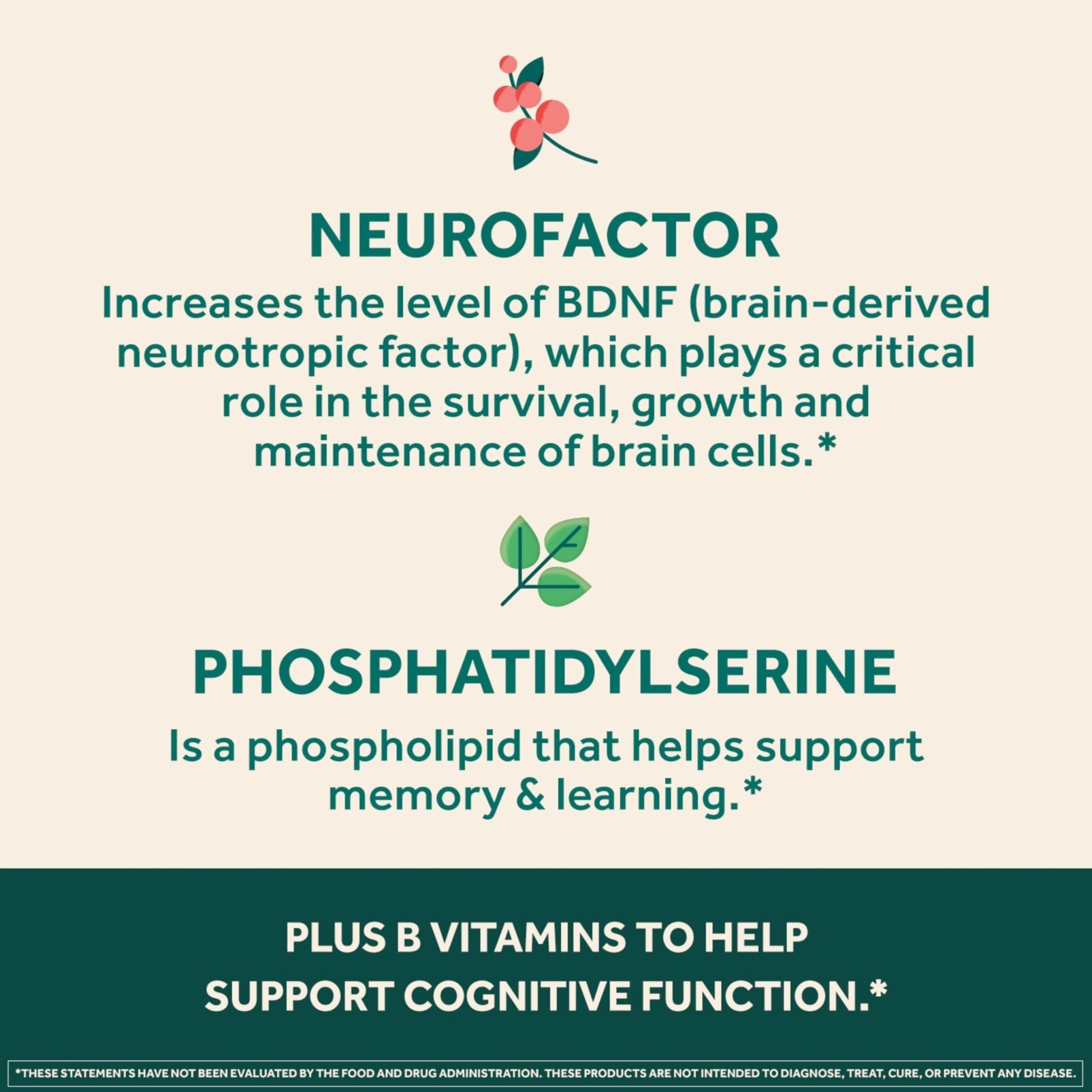 NEURIVA Ultra Decaffeinated Clinically Tested Supplement for Mental Alertness, Memory, Focus & Concentration, Cognivive, Neurofactor - Maple Wellness Supplements