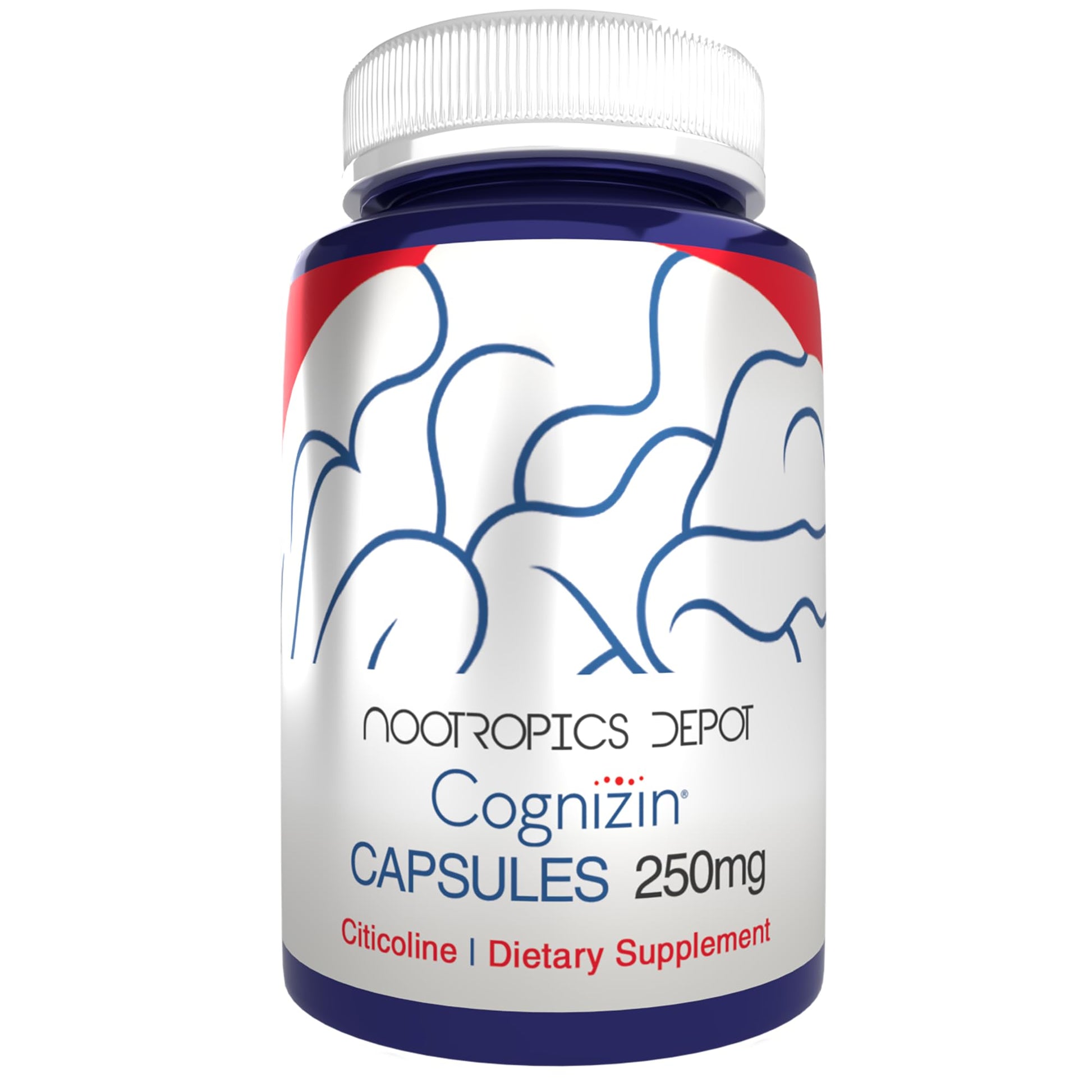Nootropics Depot Cognizin Citicoline Capsules | 60 Count | Choline Supplement | Brain Health Supplement | Regulates Memory and Cognitive Function | Supports Attention, Focus and Recall - Maple Wellness Supplements