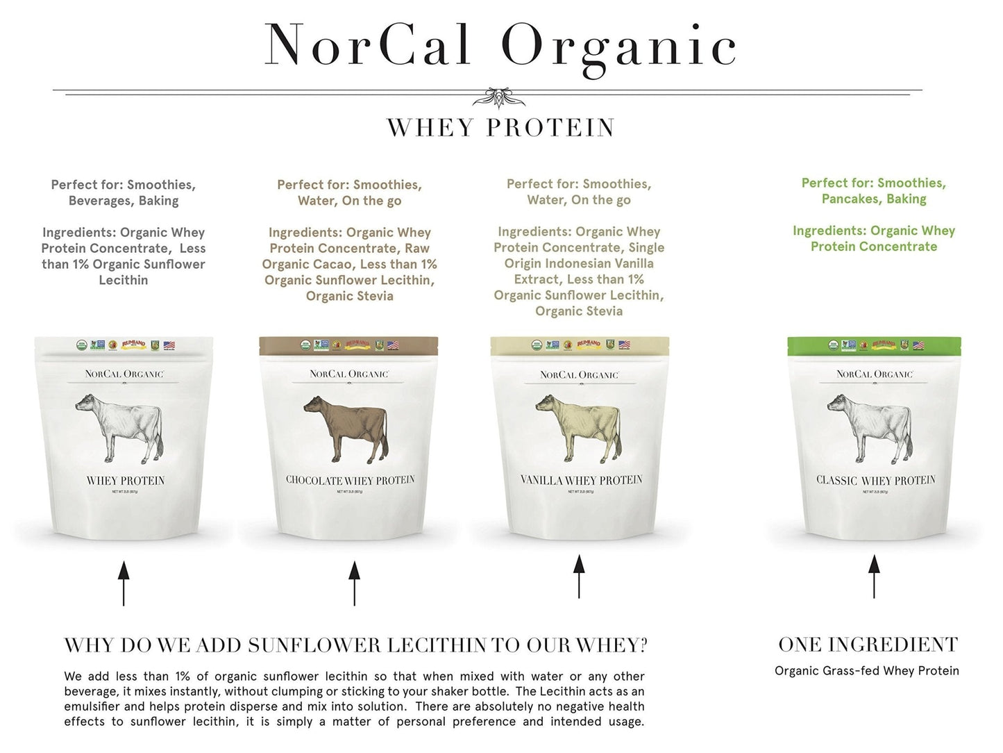 NorCal Organic Chocolate Whey Protein - 2lbs | 100% USA Grass-Fed, USDA Certified - Maple Wellness Supplements