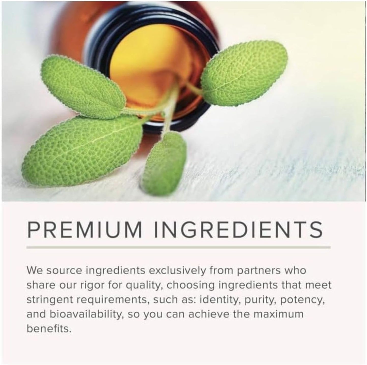 NusaPure Astragalus Root 30:1 Extract, 500 mg Equivalent to 15,000 mg 200 Veg Caps Suitable for Vegetarians and Vegans, Non-GMO - Maple Wellness Supplements