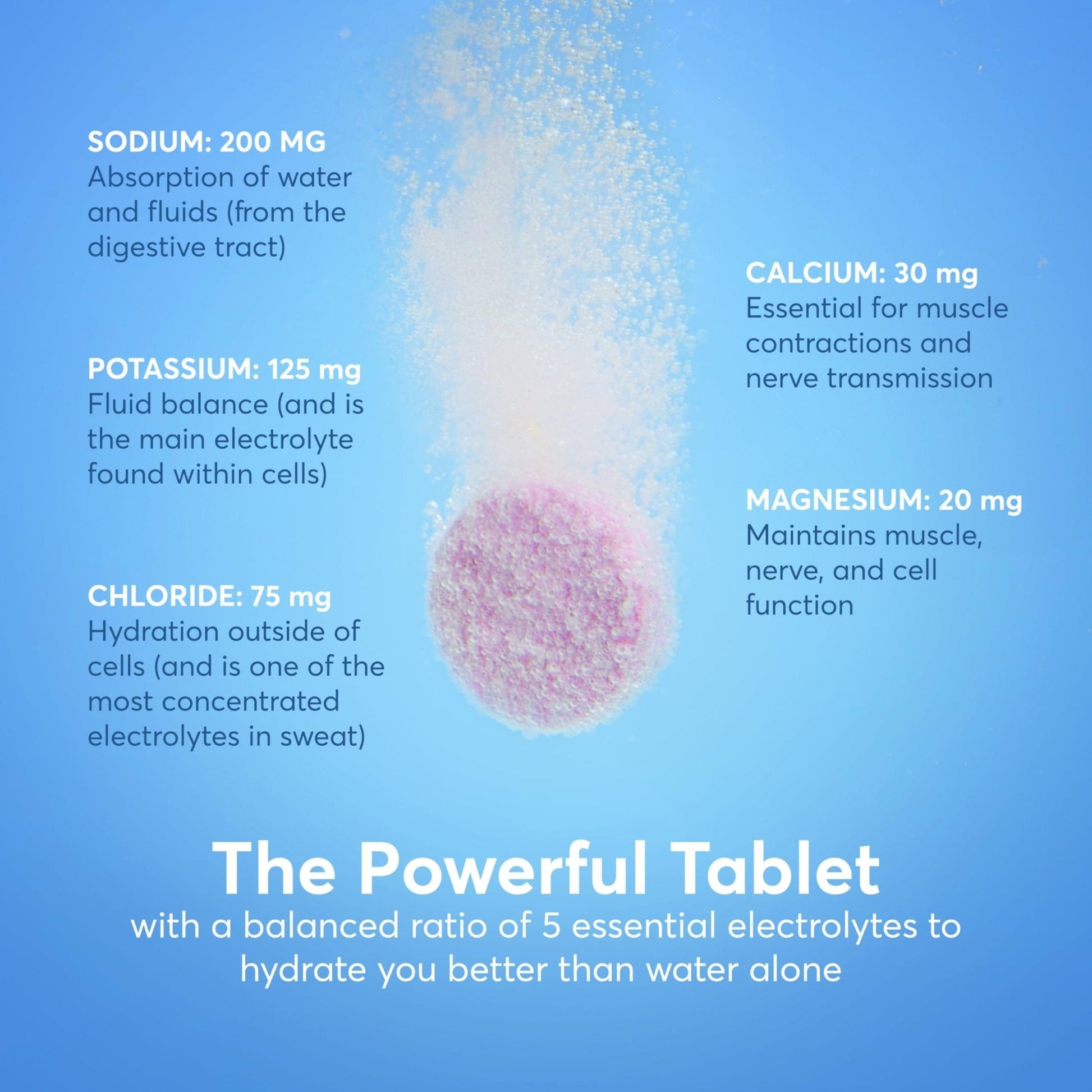 Nuun Zero Sugar Hydration Electrolyte Tablets - Sodium, Potassium, Chloride, Calcium, Magnesium, Light & Delicious Fruit Flavors, No Sugar, Gluten Free, Vegan, - Maple Wellness Supplements