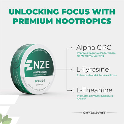 NZE Caffeine Free Nootropic Pouches (Wintergreen) - Nootropic Pouches with Alpha GPC, L-Tyrosine & L-Theanine - No Sugar or Artificial Sweeteners - 15 Pouches Per Can - 5 Pack - Maple Wellness Supplements