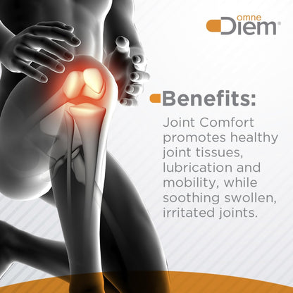 OmneDiem Joint Comfort with ZOARA, 60 Capsules – Dietary Supplement for Comprehensive Joint Care & Comfort - Maple Wellness Supplements
