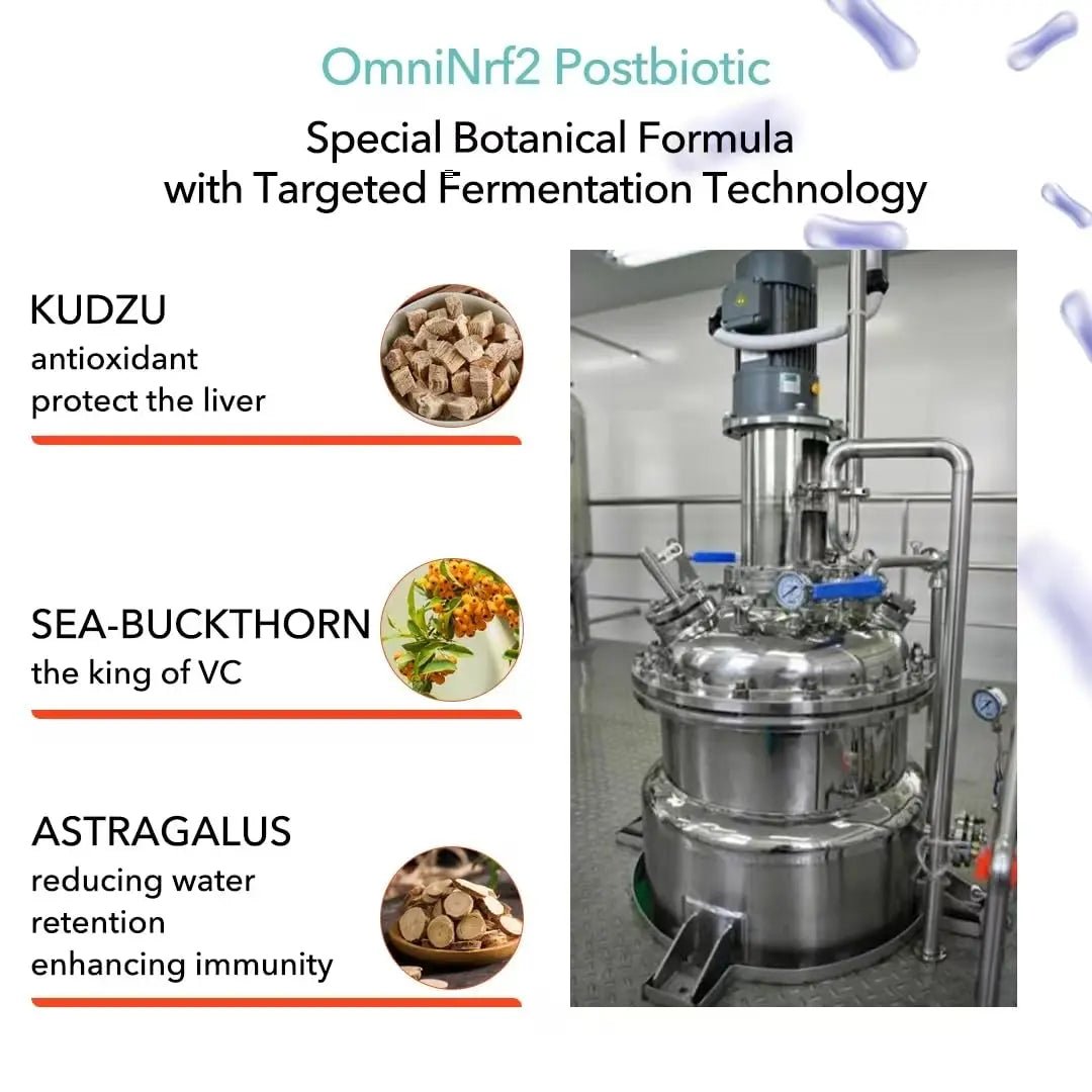OmniNrf2 Postbiotic Supplement Capsules for Gut Health, Superfood with 24 Fruits & 18 Veggies & Fermented Herbal Plants, 90 Capsules for Antioxidant Support - Maple Wellness Supplements