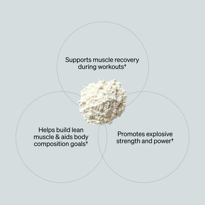 ONNIT Creatine Monohydrate Powder – Unflavored, 90-Serving Value Size – Supports Strength, Lean Muscle, and Brain Energy† – Keto Friendly, No Fillers, 90 Servings, 15.29 oz - Maple Wellness Supplements