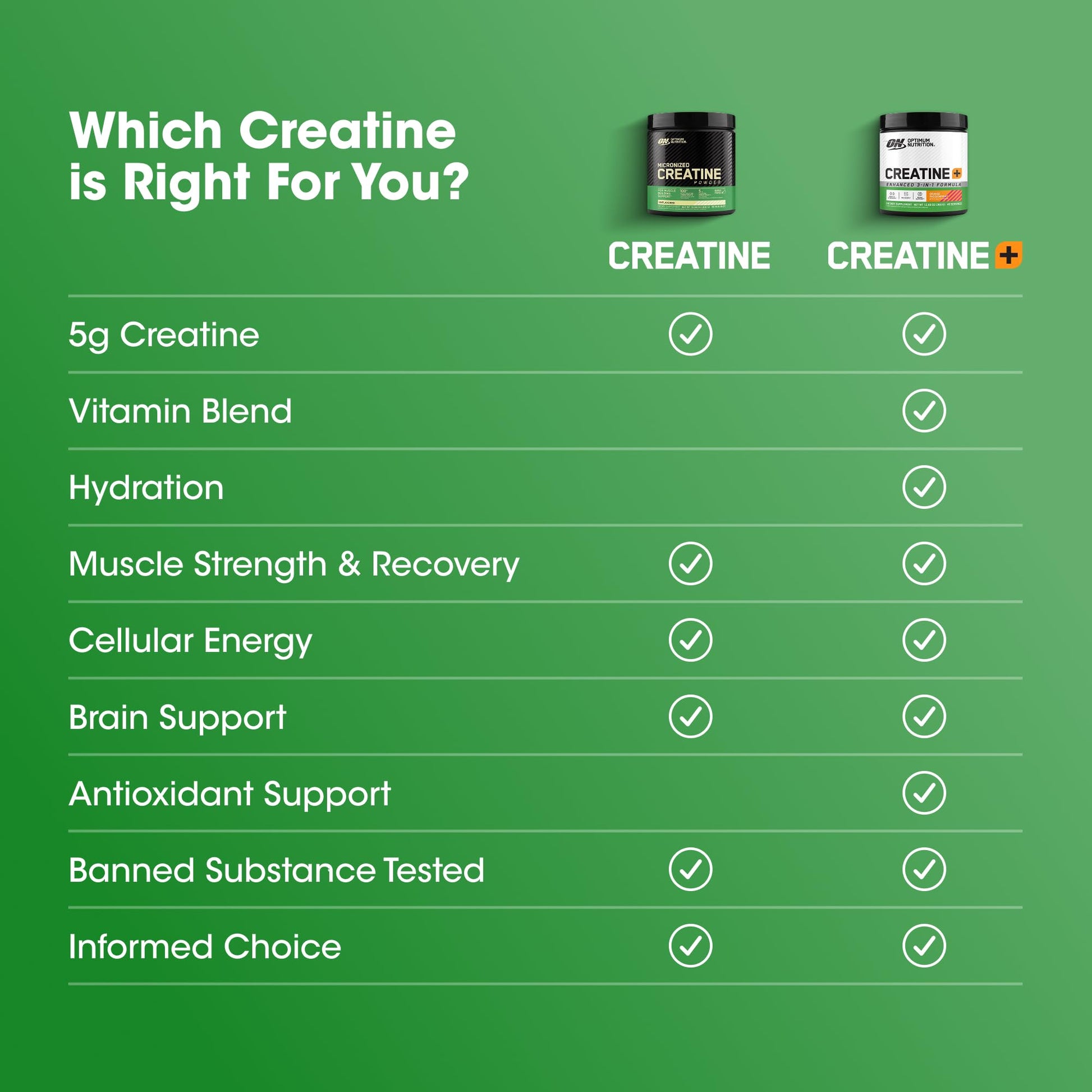Optimum Nutrition Micronized Creatine Monohydrate Powder, Unflavored, 60 Servings, 300 Grams (Packaging May Vary) - Maple Wellness Supplements