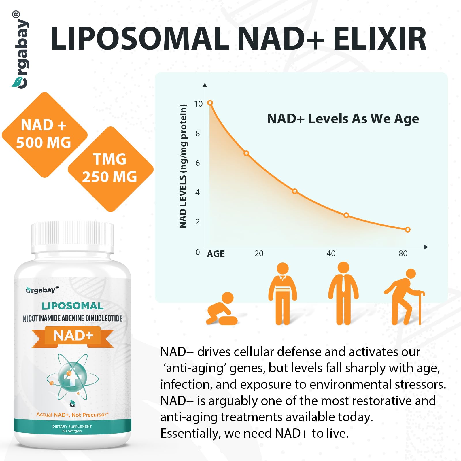 Orgabay Liposomal NAD+ Supplement 500 mg, High Absorption, Boost NAD+ with TMG 250 mg, Actual NAD Plus More Efficient Than Nicotinamide Riboside, Support Cellular Energy, Healthy Aging | 60 Softgels - Maple Wellness Supplements