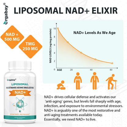 Orgabay Liposomal NAD+ Supplement 500 mg, High Absorption, Boost NAD+ with TMG 250 mg, Actual NAD Plus More Efficient Than Nicotinamide Riboside, Support Cellular Energy, Healthy Aging | 60 Softgels - Maple Wellness Supplements