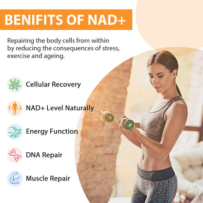 Orgabay Liposomal NAD+ Supplement 500 mg, High Absorption, Boost NAD+ with TMG 250 mg, Actual NAD Plus More Efficient Than Nicotinamide Riboside, Support Cellular Energy, Healthy Aging | 180 Softgels - Maple Wellness Supplements