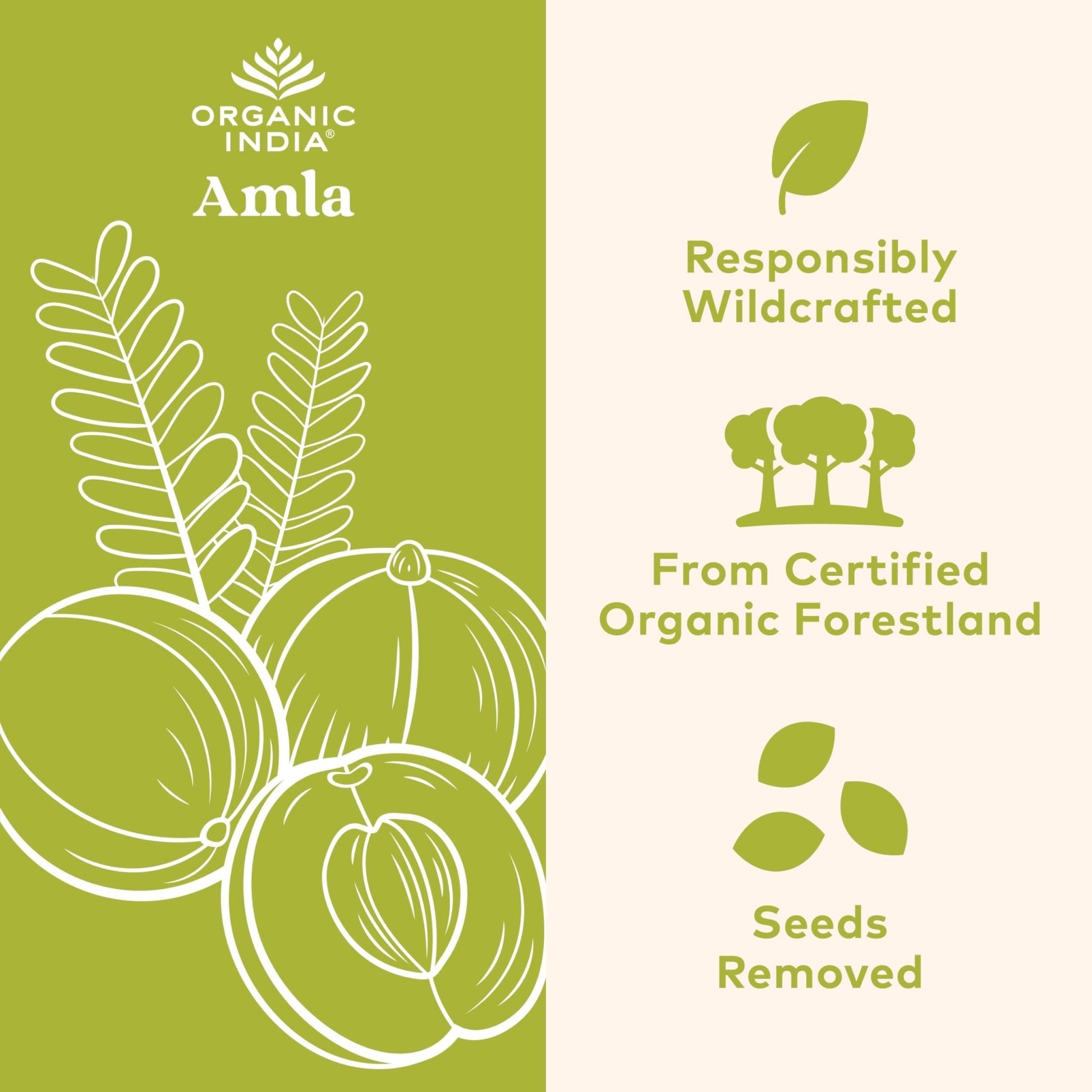 ORGANIC INDIA Amalaki Herbal Vitamin Supplement - Immune Support, Vitamin C, Vegan, Gluten-Free, Kosher, Ayurvedic, Antioxidant - Maple Wellness Supplements