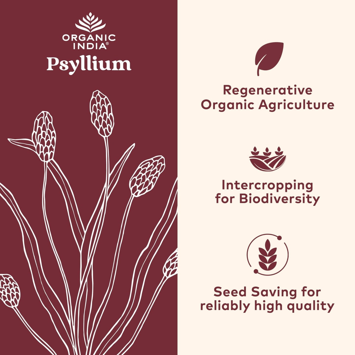 ORGANIC INDIA Psyllium Husk Capsules - Fiber Supplement, Healthy Elimination - Vegan, Keto Friendly, Gluten-Free, USDA Certified Organic, Non-GMO - Maple Wellness Supplements