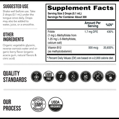 Organic Methyl Folate 1000 mcg + Methyl B12 Cofactor (300 Servings) – Metabolically Active 5-MTHF Form, Organic Berry Flavor - Maple Wellness Supplements