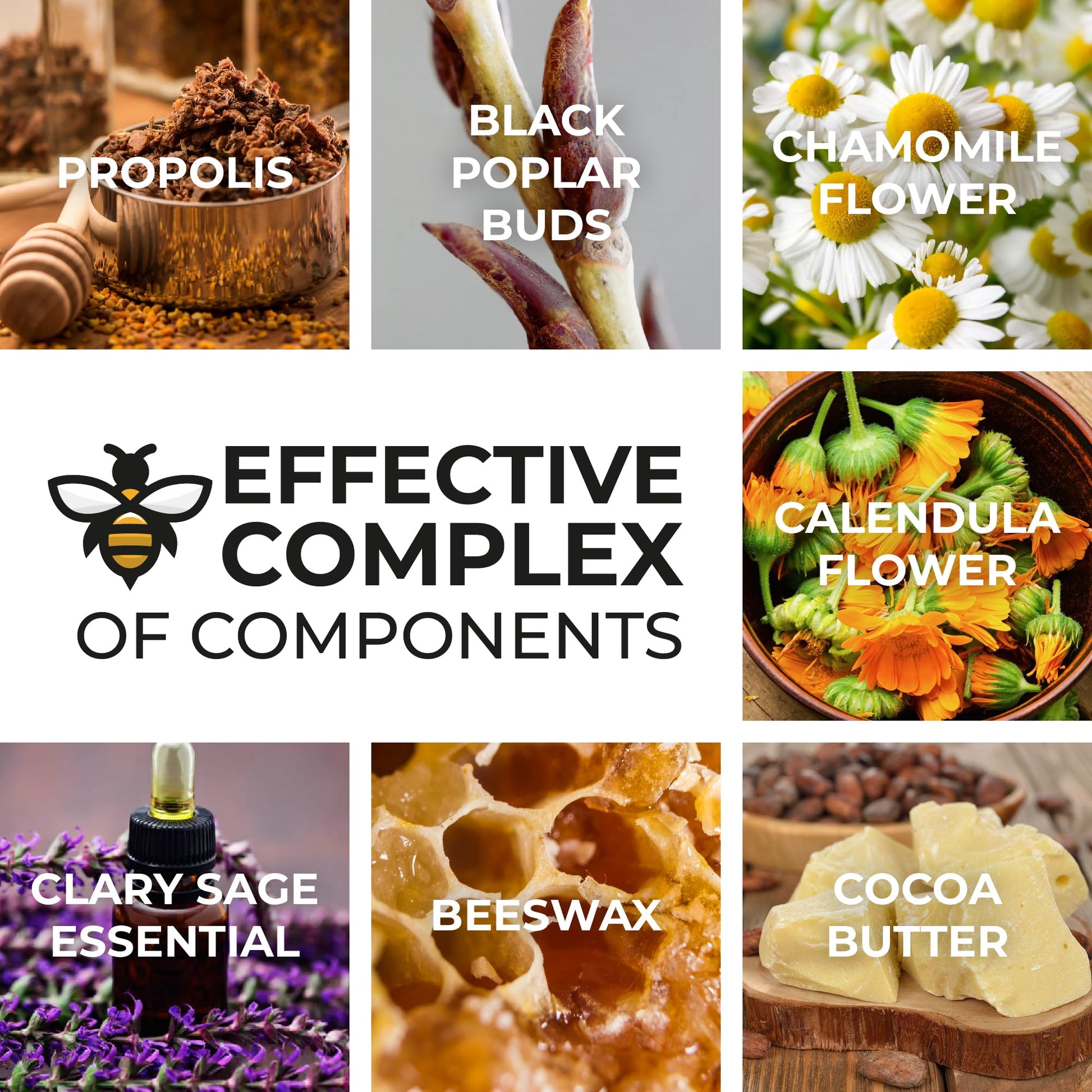 Organic Propolis Comfort Suppositories for Men, Women - Natural Bee & Botanical Formula, Gentle Daily Care 10 Count - Maple Wellness Supplements