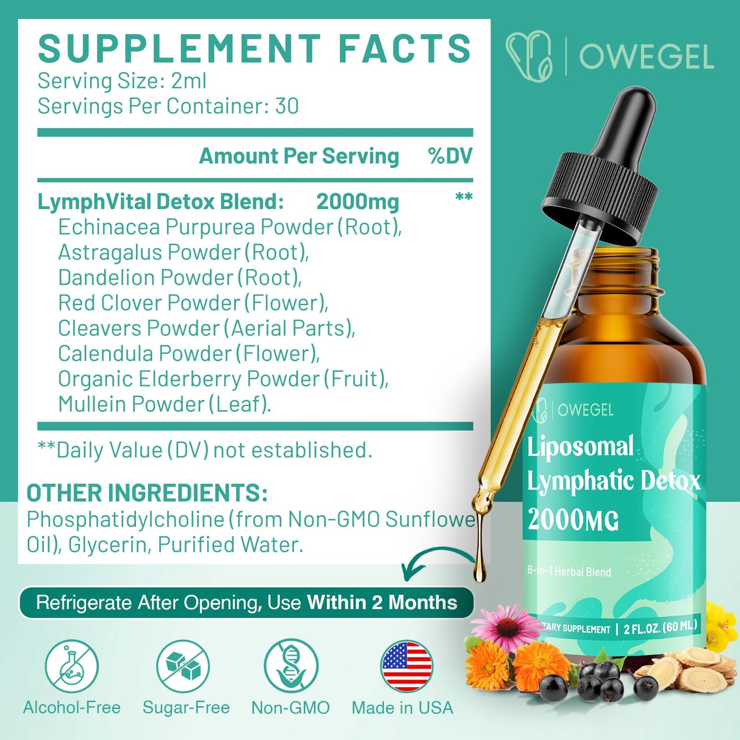 owegel Liposomal Lymphatic Drainage Drops 2000mg – Immune & Lymph System Support – Lymphatic Detox and Cleanse with Echinacea, Red Clover, Dandelion & Cleavers – Sugar-Free, Alcohol-Free – 2 FL OZ - Maple Wellness Supplements
