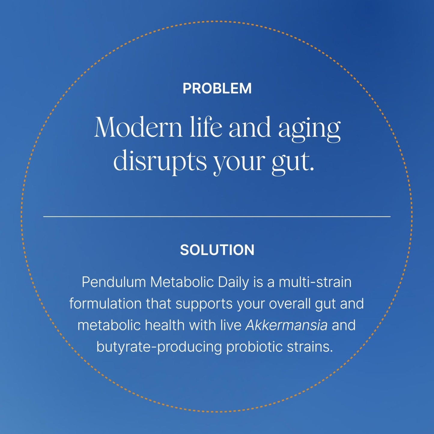 Pendulum Metabolic Daily - Multi-Strain Probiotic with Akkermansia muciniphila to Support Metabolism and Sustain Energy Levels - Maple Wellness Supplements