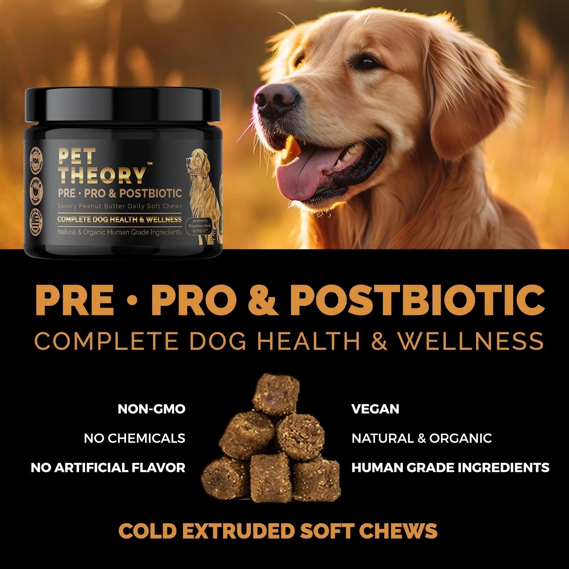 Pet Theory Probiotics for Dogs. Dog Digestive Health-Pre Pro and Postbiotic Combination-Pet Supplements for Gut Health-Supports Digestion, Boost Immunity-100CT Soft Chews - Maple Wellness Supplements