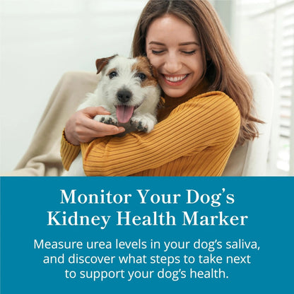Petivity At-Home Kidney Health Test Kit for Dogs — Quick Saliva Urea Test (2-Minute Home Check), Powered by Purina — Help Detect Early Kidney Changes - (Pack of 3) - Maple Wellness Supplements