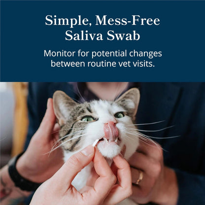 Petivity At-Home Oral Health Test for Cats & Dogs — 10-Second Dental Check Kit by Purina — Simple Saliva Swab to Detect Bad Breath & Gum Issues - (Pack of 1) - Maple Wellness Supplements