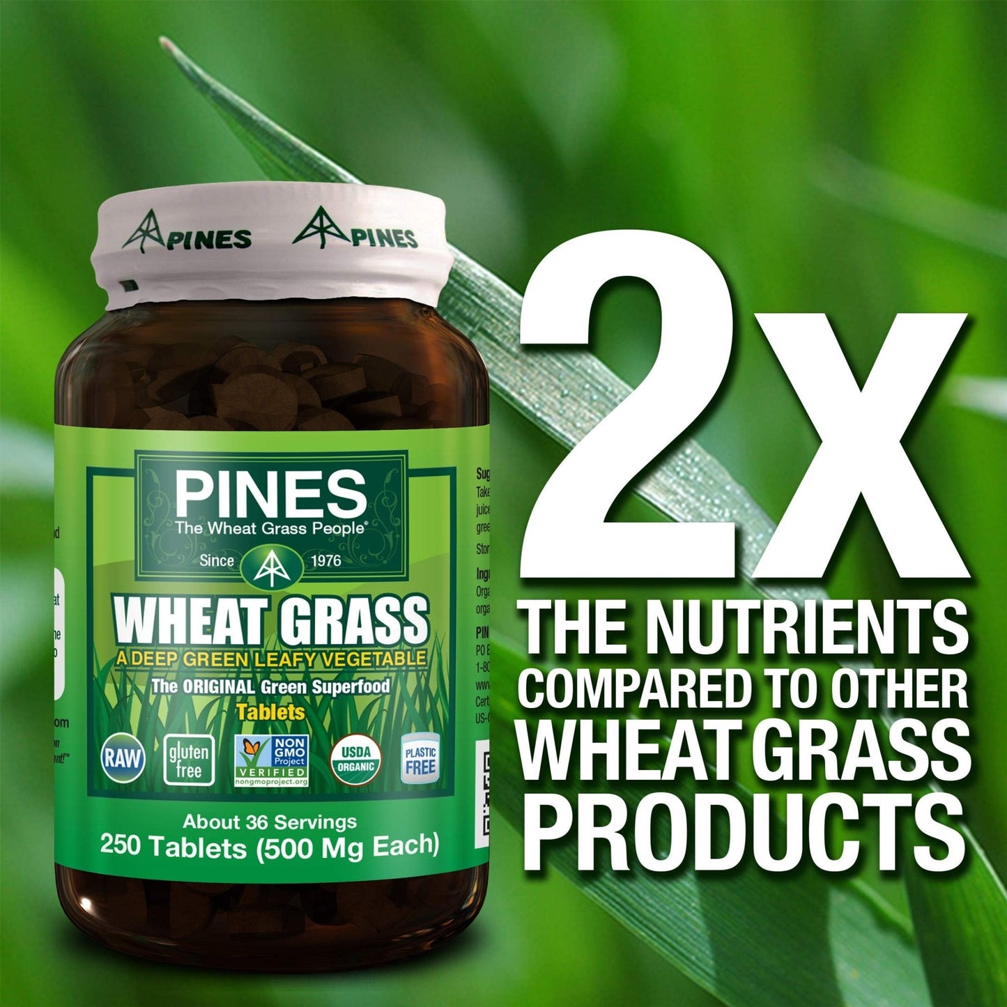 PINES Organic Wheat Grass, 250 Count Tablets | PINES Wheat Grass as featured in the new blockbuster film, Ocean's 8! - Maple Wellness Supplements