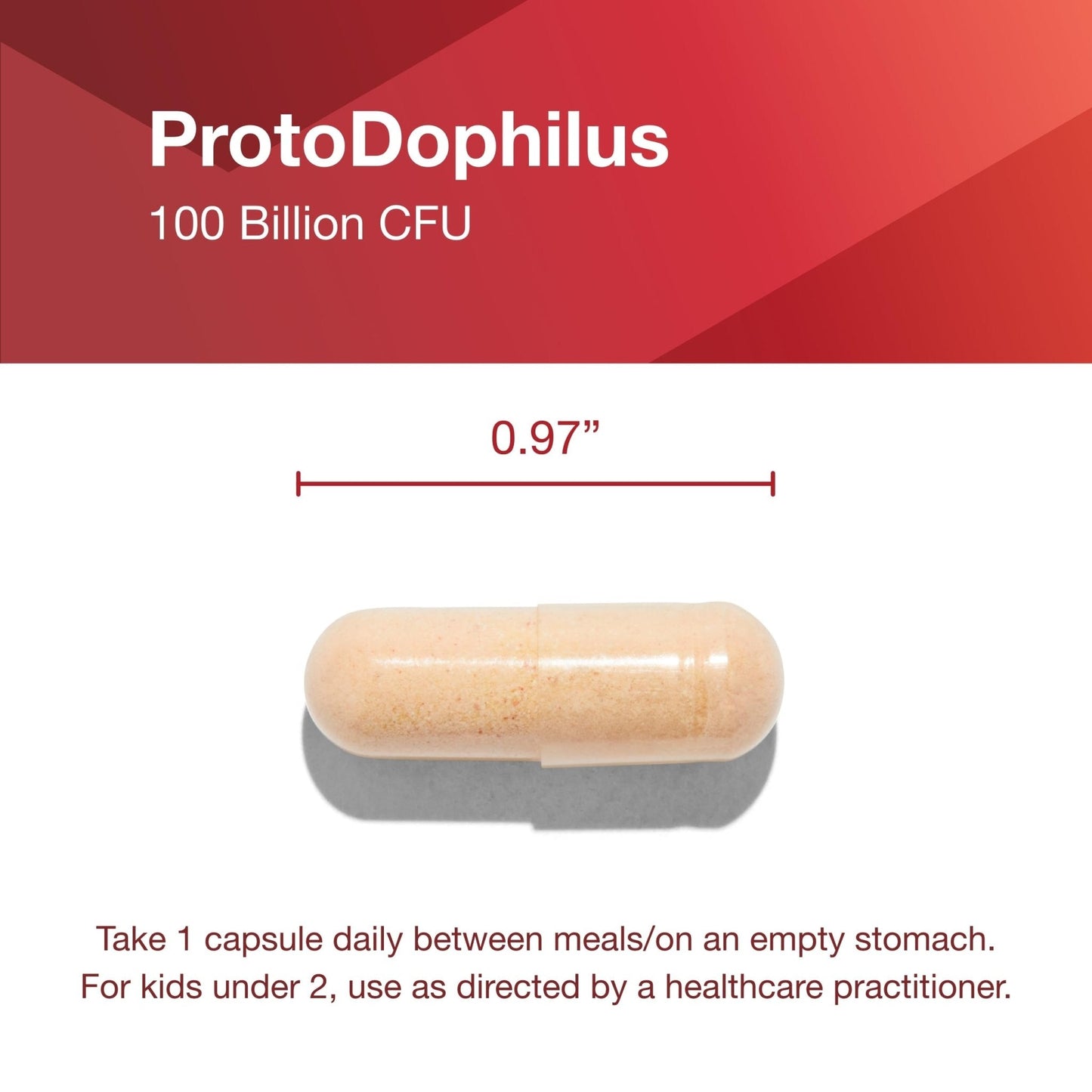 PROTOCOL FOR LIFE BALANCE Proto Dophilus 100 Billion 10 Strains - Support Digestive Gut Health Immune System & Detox - Dairy, Wheat, Soy & Gluten Free - Vegan & Nut Free - 30 Veg Capsules - Maple Wellness Supplements