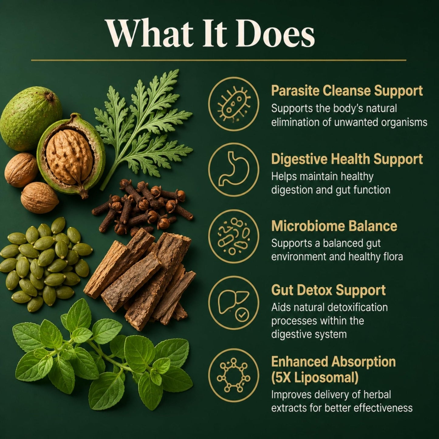 PURETREX Herbal Gut Detox & Cleanse Drops 2 fl oz, Liposomal Dewormer for Humans with Wormwood, Black Walnut, Clove, Pumpkin Seed, PAU D'Arco, Candida - Maple Wellness Supplements