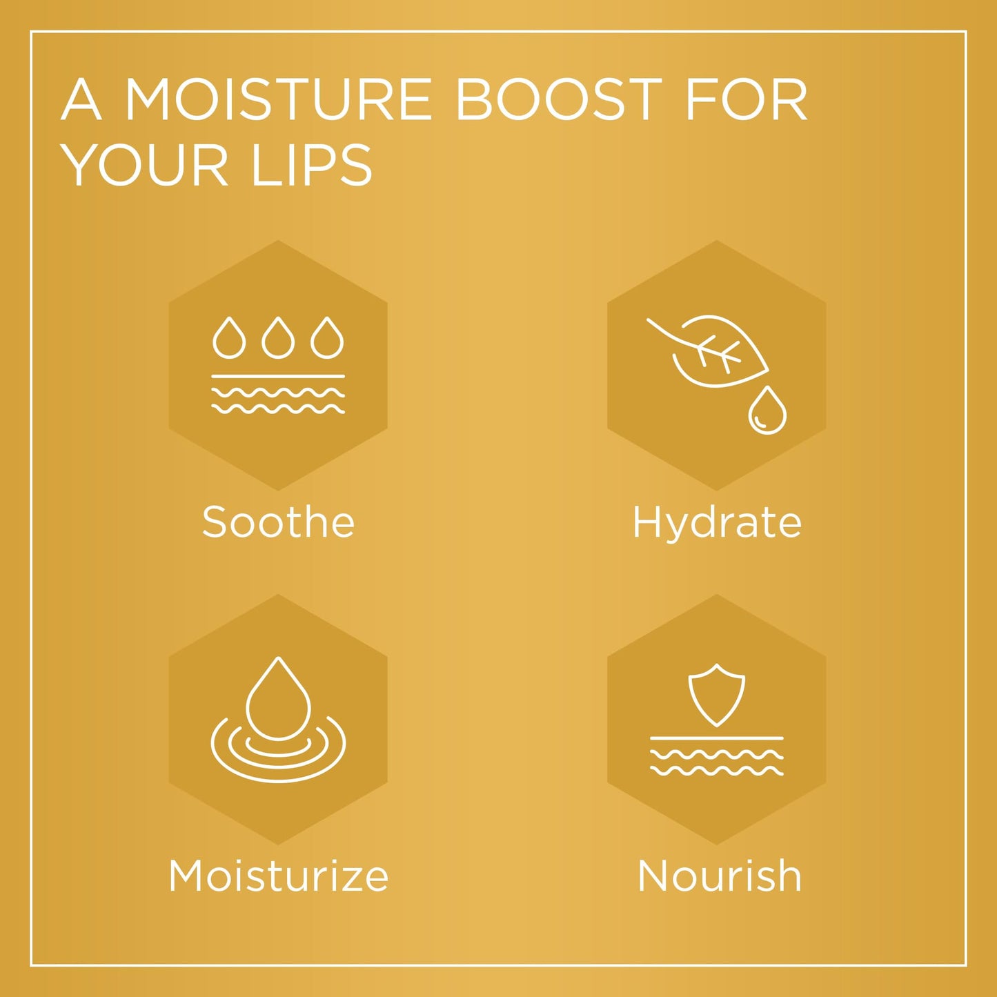 PURITI Manuka Honey Lip Balm – 3pack Soothing & Moisturizing, Enriched with Almond - Maple Wellness Supplements