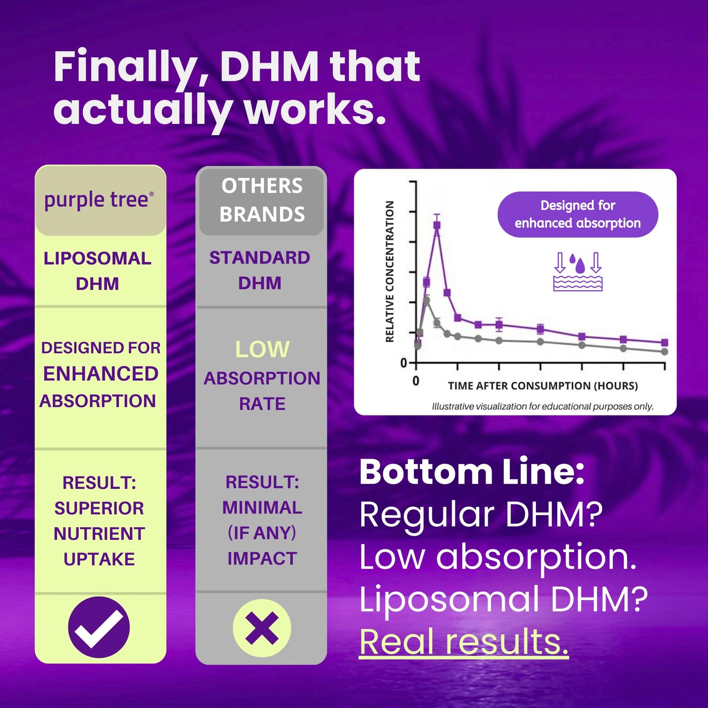 purple tree Post-Celebration Wellness Supplement for Liver Support & Hydration | Liposomal Dihydromyricetin (DHM), L-Glutathione, Milk Thistle - Maple Wellness Supplements