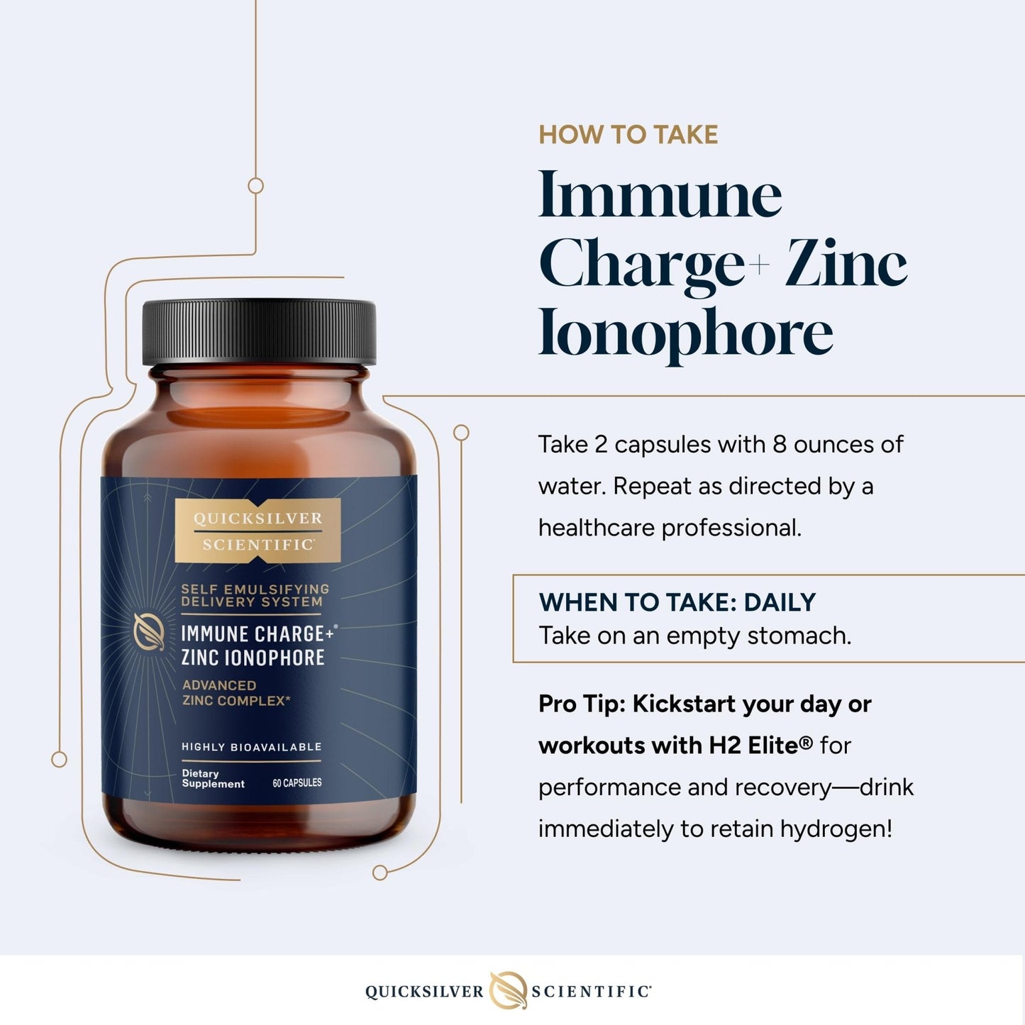 Quicksilver Scientific Immune Charge+ Zinc Ionophore - Zinc Supplement Complexed with Quercetin, Luteolin, Hesperetin Immune + GI Support (60 Capsules) - Maple Wellness Supplements
