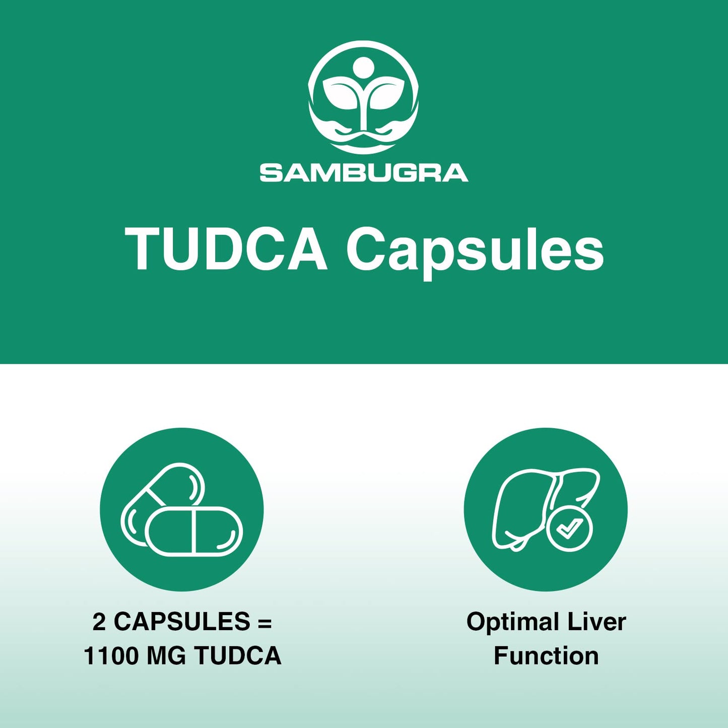 Sambugra TUDCA Liver Supplements 1100mg, 3rd Party Tested Ultra Strength Bile Salt TUDCA Supplement, Liver Support for Detox - Maple Wellness Supplements