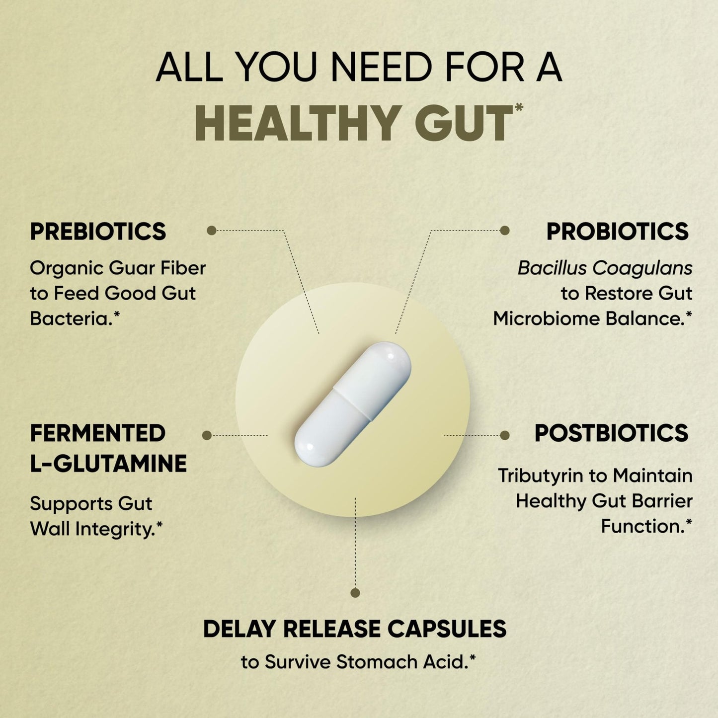 Sandhu's Gut Health - Prebiotic, Probiotic, Postbiotic & L-Glutamine | Digestive Health, Colon, Probiotic Total Supplements | 120 Delayed Release Capsules - Maple Wellness Supplements