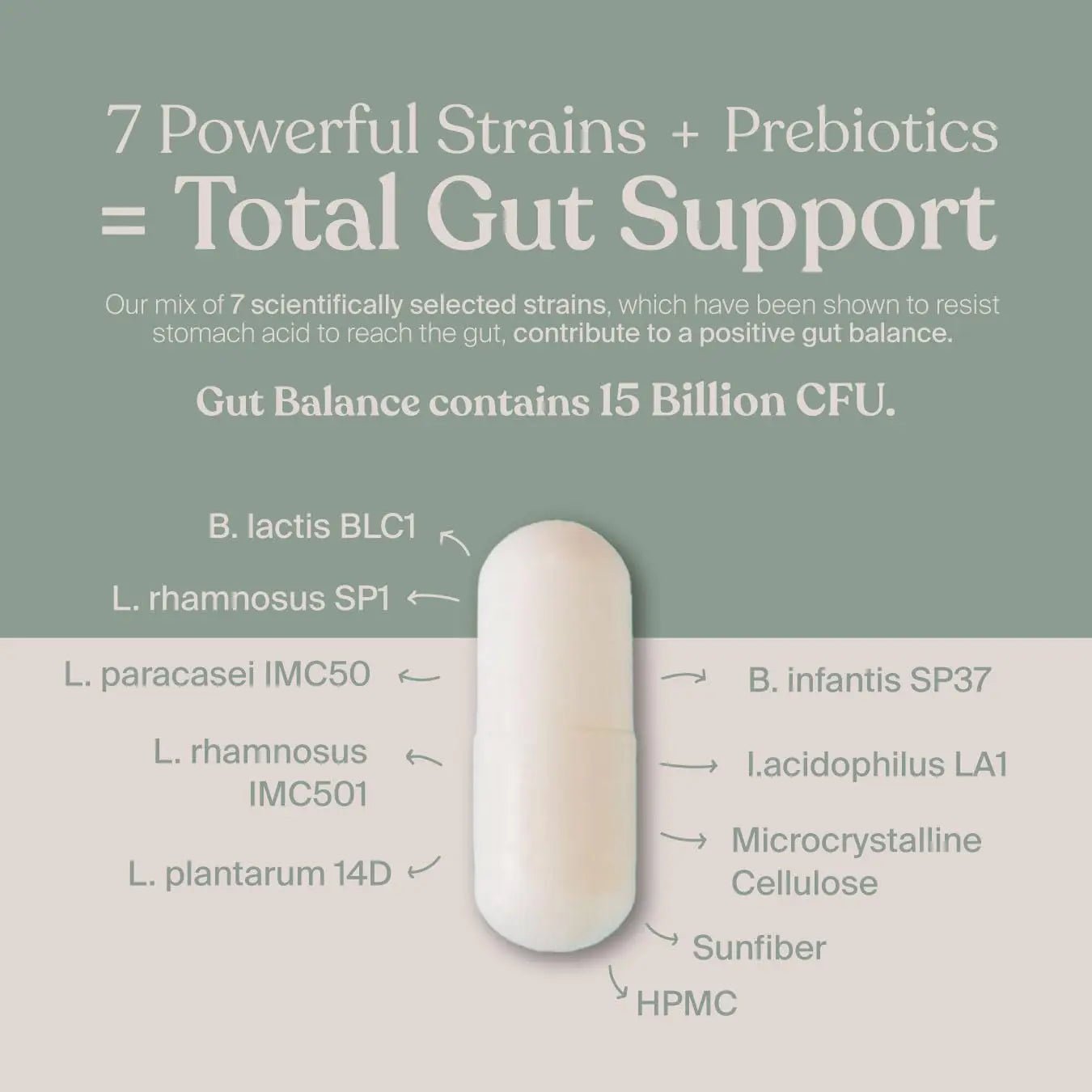 SAVVY Gut Balance Probiotics for Women & Men, 15 Billion CFU, 7 Clinically Studied Strains, Digestive Health, Immune Support, Bloating Relief, 60 Vegan Capsules, Non GMO, Sugar-Free - Maple Wellness Supplements