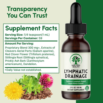 SHELTREE HEALTH Lymphatic Drainage Drops, 2 Fl. Oz | Organic Lymphatic Drainage Supplements with Cleavers, Red Clover Flower, Stillingia Root, Prickly Ash Bark, Dandelion | Vegan | Non-GMO - Maple Wellness Supplements