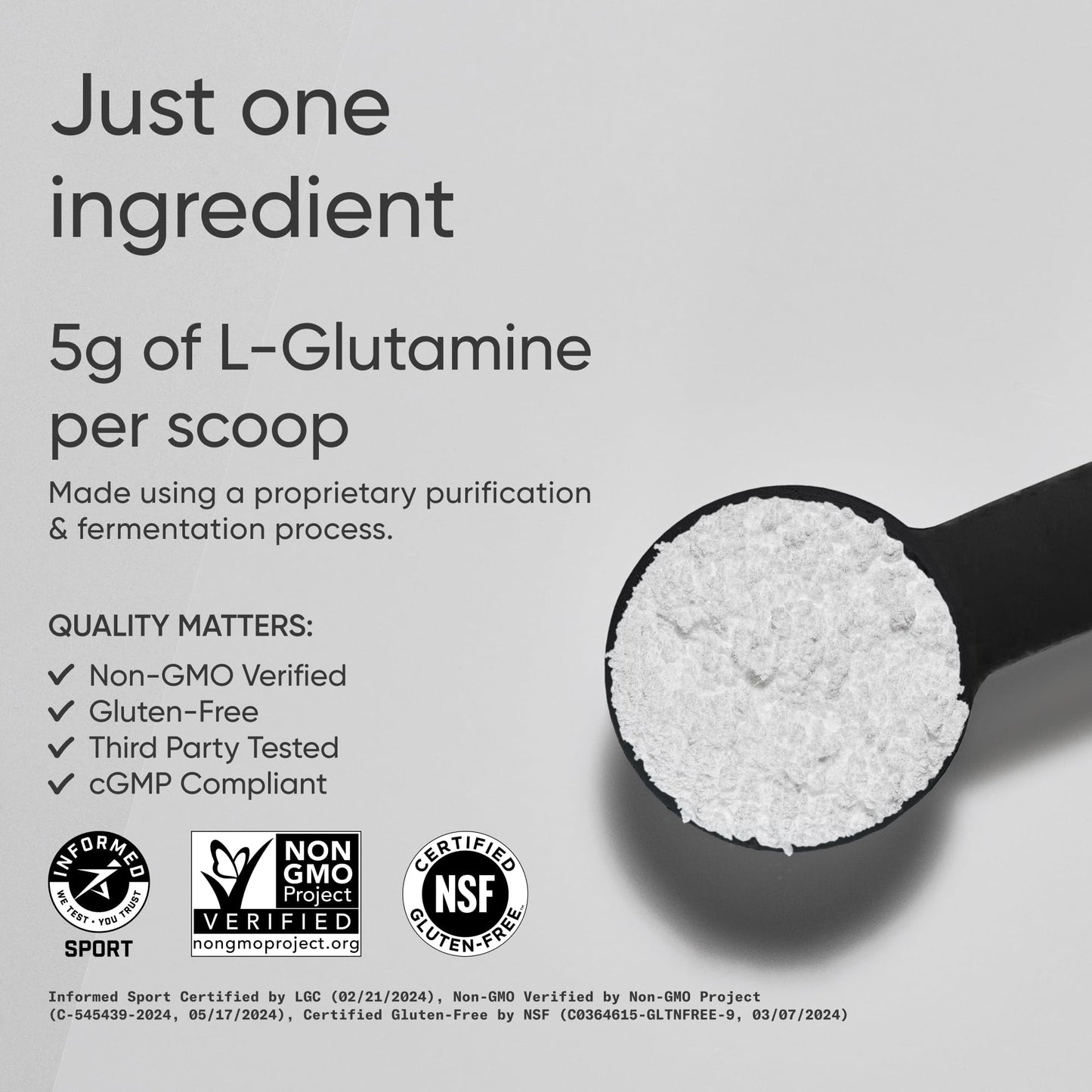 Sports Research L-Glutamine - Workout Recovery, Immune Health & Gut Health Support - 5 G Per Serving - 10.58 Oz - Maple Wellness Supplements