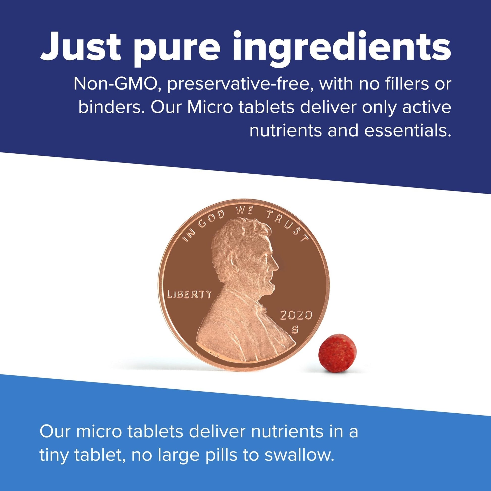 Superior Source No Shot Methylcobalamin B-12 1,000 mcg - Vitamin B-12 to Support Energy Production, Brain Health & Overall Wellness - Sublingual Tablets - Maple Wellness Supplements