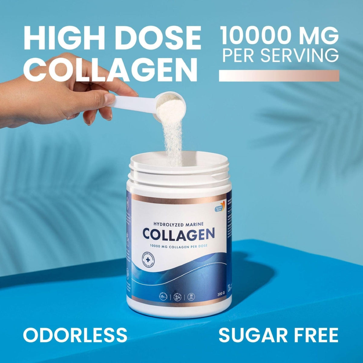 Swedish Nutra 10,000 mg Hydrolysed Marine Collagen Powder Supplement - 30 Day Supply| Type 1 & 3 Collagen, Pure Peptides for Healthy Hair, Skin, Nails, Joints I Unflavored | 100% Natural | Sugar-Free - Maple Wellness Supplements