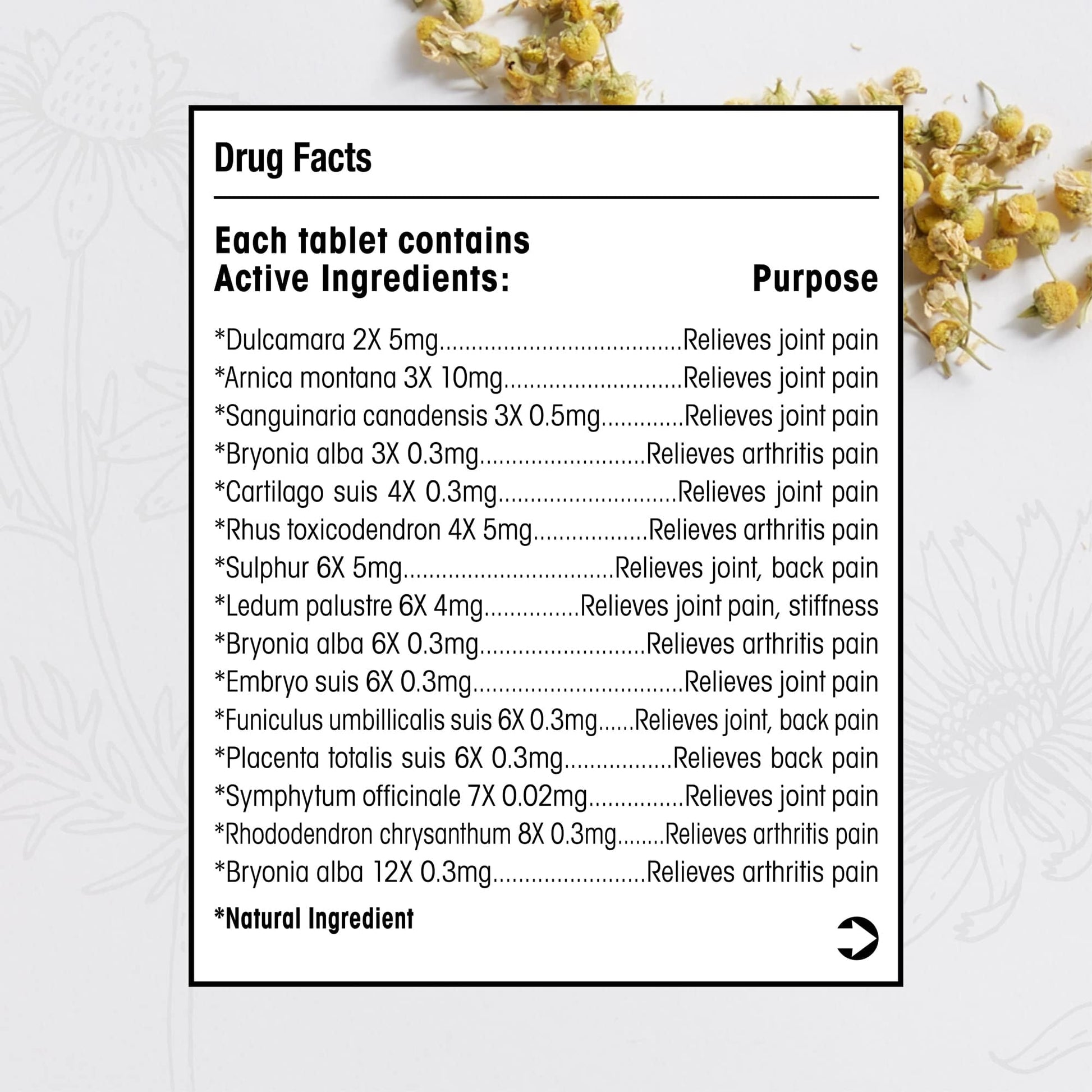 T-Relief Arthritis Arnica +12 Pain Relieving Natural Medicines Help Reduce Soreness Stiffness Aches & Pains in Joints Naturally - 100 Tablets (2 Pack) - Maple Wellness Supplements