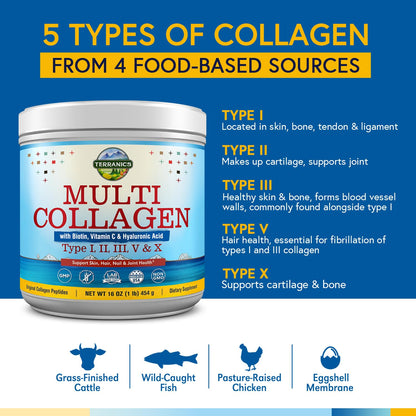 Terranics Multi Collagen Powder Type I II II V X with Biotin VC Hyaluronic Acid, Paleo - Maple Wellness Supplements
