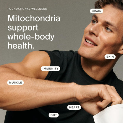 Timeline Mitopure Urolithin A Supplement Softgels - Clinically Proven Support for Healthy Aging and Cellular Renewal - Maple Wellness Supplements