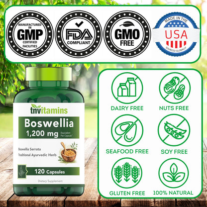 tnvitamins Boswellia Extract Capsules, 120 Count | 1,200 mg Per Capsule | 65% Boswellic Acids + 10:1 Concentrated Extract | Boswellia Serrata - Maple Wellness Supplements
