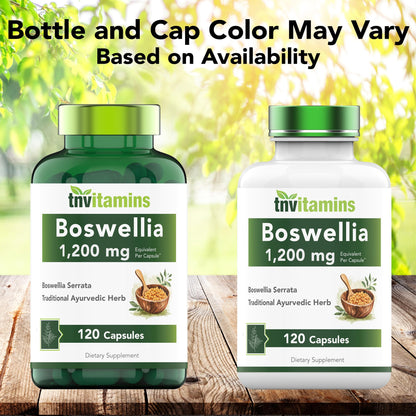 tnvitamins Boswellia Extract Capsules, 120 Count | 1,200 mg Per Capsule | 65% Boswellic Acids + 10:1 Concentrated Extract | Boswellia Serrata - Maple Wellness Supplements