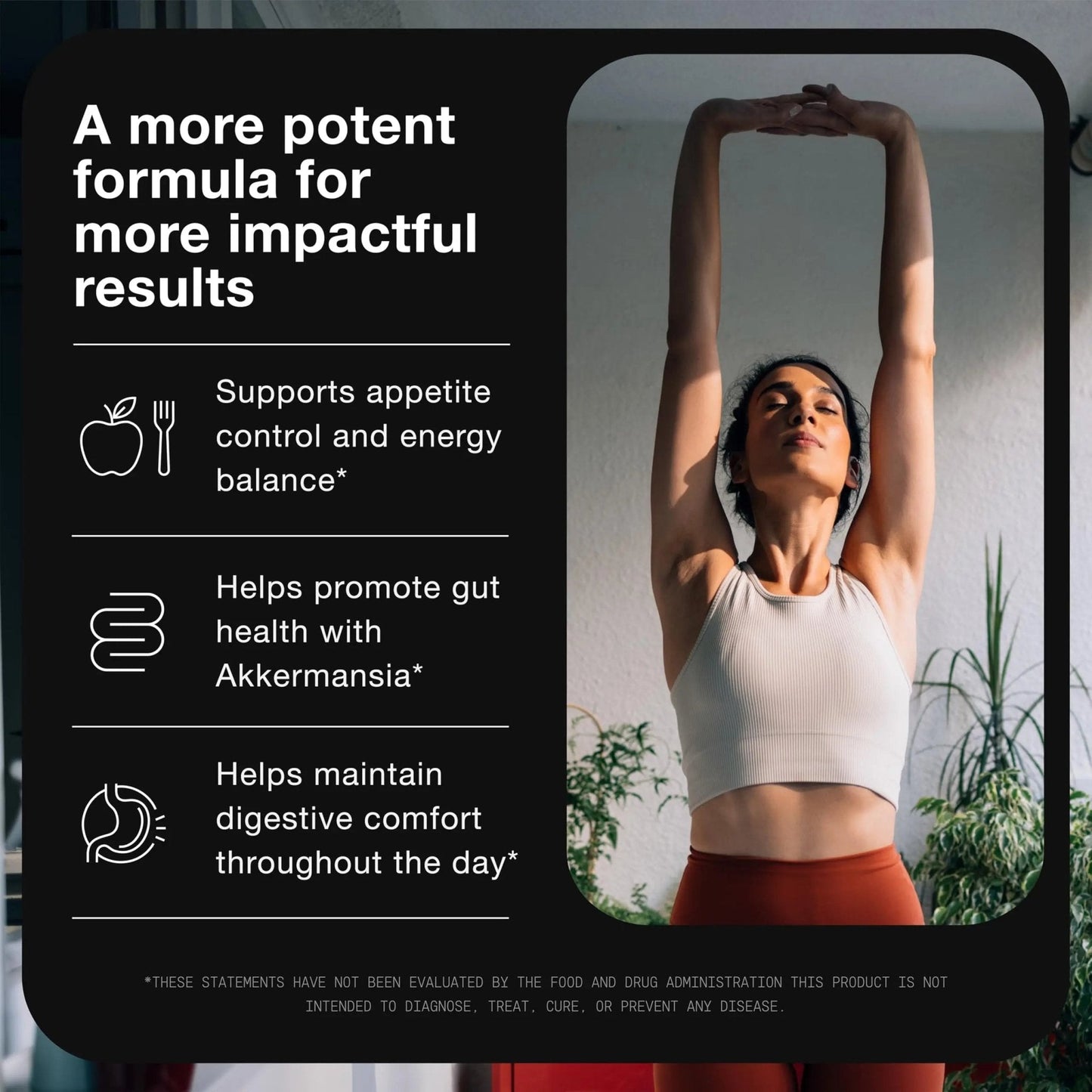 Toniiq GLP-1 Support — with Clinically Studied, Patented GlucoVantage® Dihydroberberine and Akkermansia — Appetite and Fullness Support — 120 Capsules (60-Day Supply) - Maple Wellness Supplements