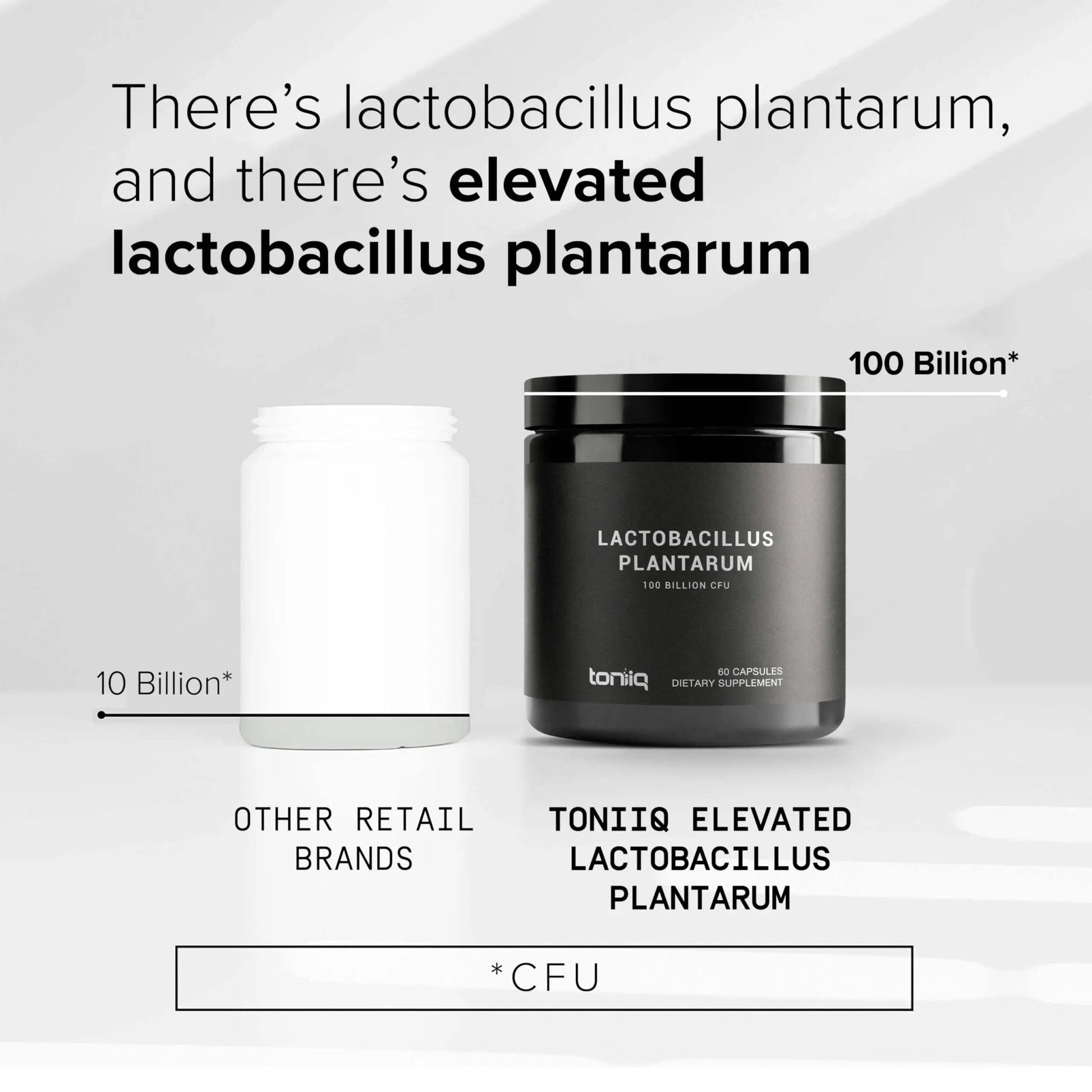 Toniiq Lactobacillus Plantarum – 100 Billion CFU High-Strength Single-Strain Probiotic with FOS – Delayed-Release Veggie Capsules – Third-Party Tested Potency – 60 Capsules - Maple Wellness Supplements