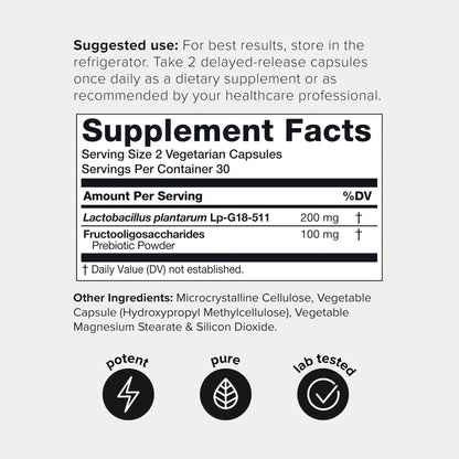 Toniiq Lactobacillus Plantarum – 100 Billion CFU High-Strength Single-Strain Probiotic with FOS – Delayed-Release Veggie Capsules – Third-Party Tested Potency – 60 Capsules - Maple Wellness Supplements