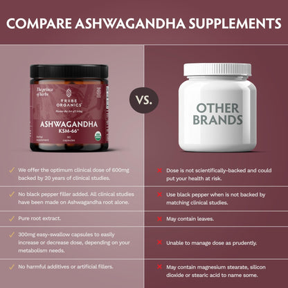 TRIBE ORGANICS Ashwagandha KSM 66 Pure Organic Root Powder Extract Ayurvedic Supplement - Focus Mood Support Increase Energy Strength 600mg of Natural KSM66 for Superior Absorption - 90 Capsules - Maple Wellness Supplements