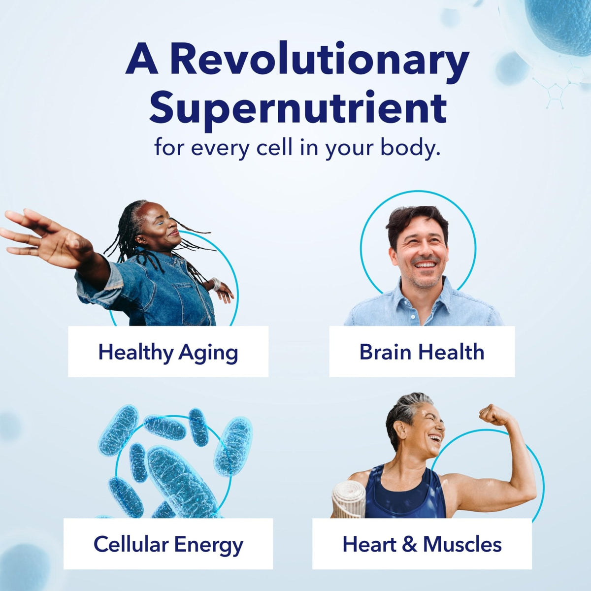 TRU NIAGEN Patented NAD Supplement for Brain Function, Anti Aging & Cell Regeneration, 300mg Niagen, 30 Servings | Supports Cellular Energy, Muscle | Nicotinamide Riboside (NR) Take 1 Daily | 1 Bottle - Maple Wellness Supplements