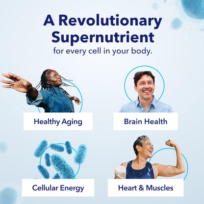 TRU NIAGEN Patented NAD Supplement for Brain Function, Anti Aging & Cell Regeneration, 300mg Niagen, 30 Servings | Supports Cellular Energy, Muscle | Nicotinamide Riboside (NR) Take 1 Daily | 2 Bottle - Maple Wellness Supplements