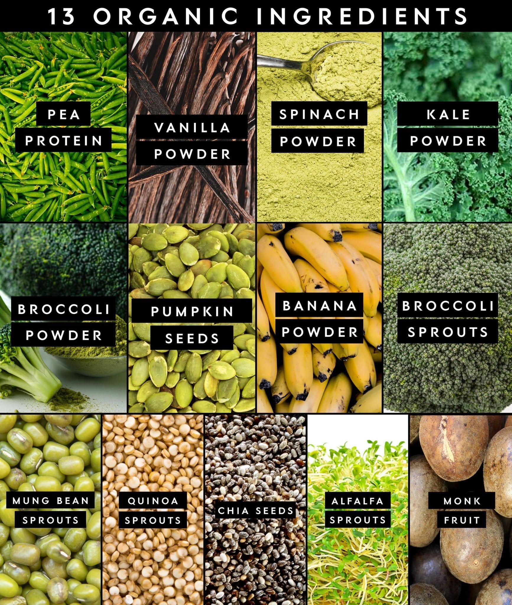 Truvani Protein + Greens Supplement | Spinach, Kale & Broccoli | 10g Organic Plant Based Protein | 20 Servings | USDA Organic | Gluten & Dairy Free - Maple Wellness Supplements